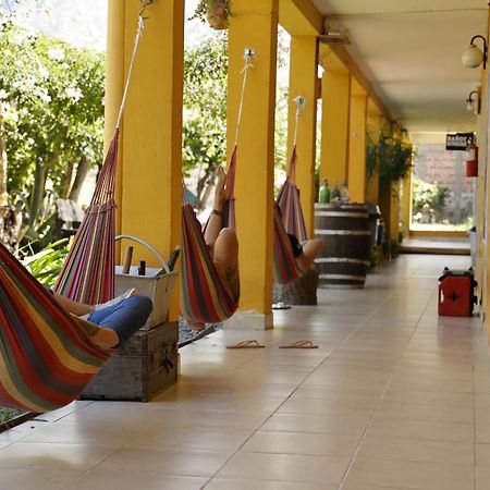 Hostel Lo De Chichi Cafayate Εξωτερικό φωτογραφία